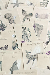 Messengers From The Great Bear Oracle Deck