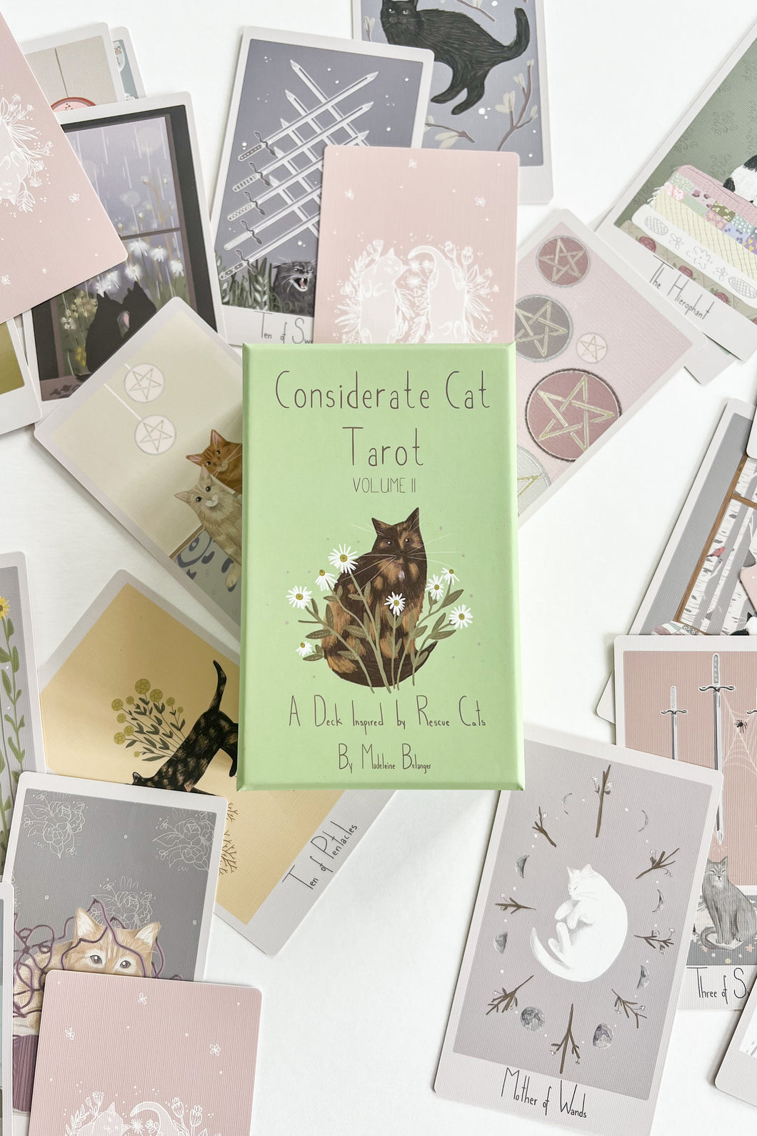 Tarot Deck inspired by rescue cat stories